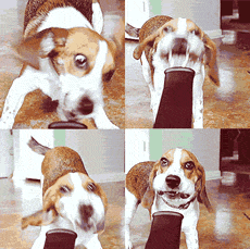1588137558382415.gif