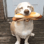 1588138535570897.gif