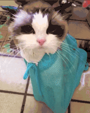 1588137498867157.gif
