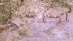1588137304870668.gif