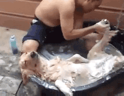 1588137378512865.gif