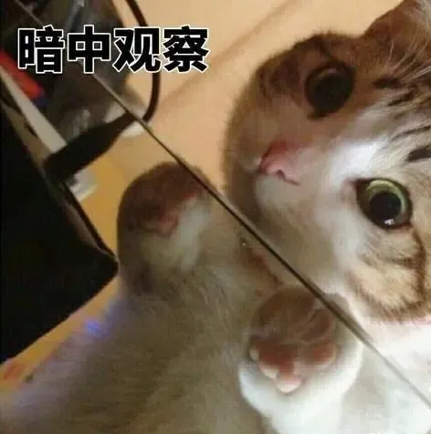 1588928839939254.png