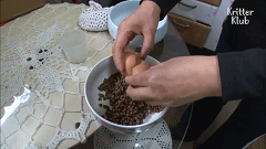 20200529151503.gif