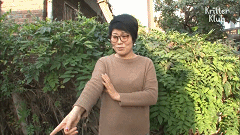 20200529151533.gif