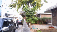 20200529151542.gif