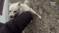 20200529151600.gif