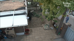 20200529151608.gif