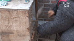 20200529151619.gif