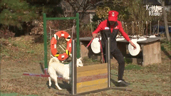 20200529151627.gif