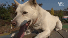 20200529151638.gif