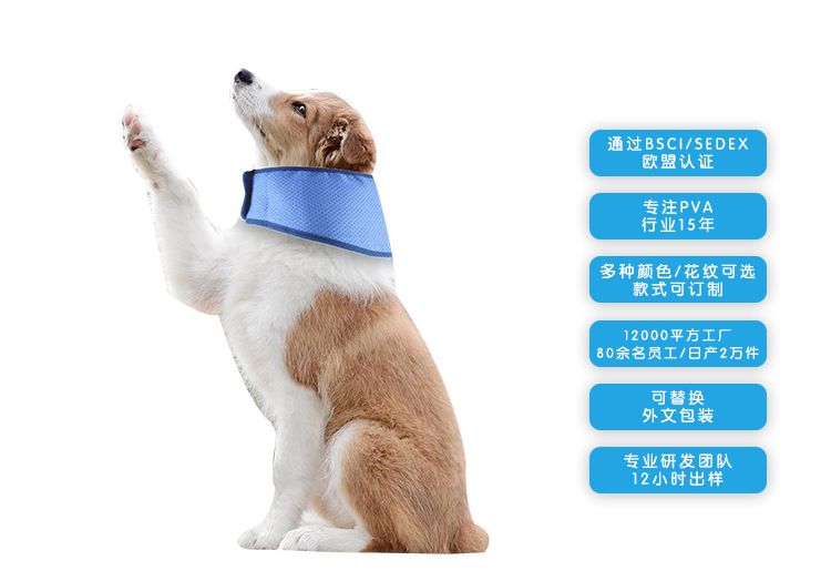 11-7 狗领子.jpg