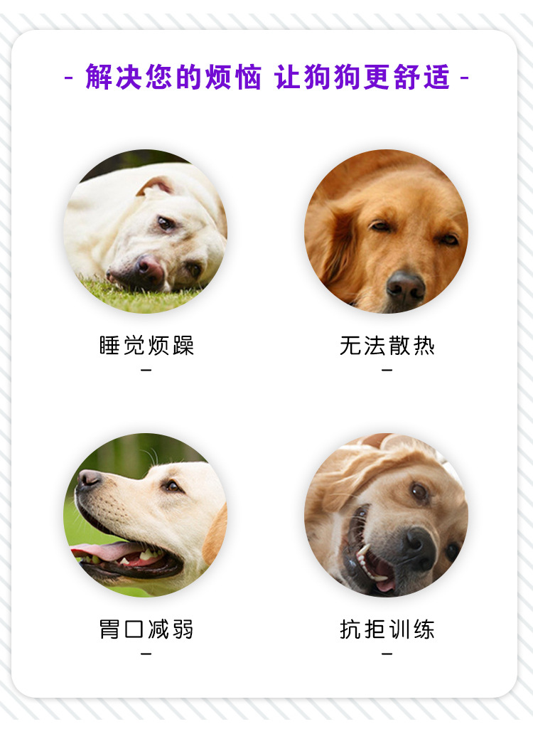 11-7 狗领子4.jpg