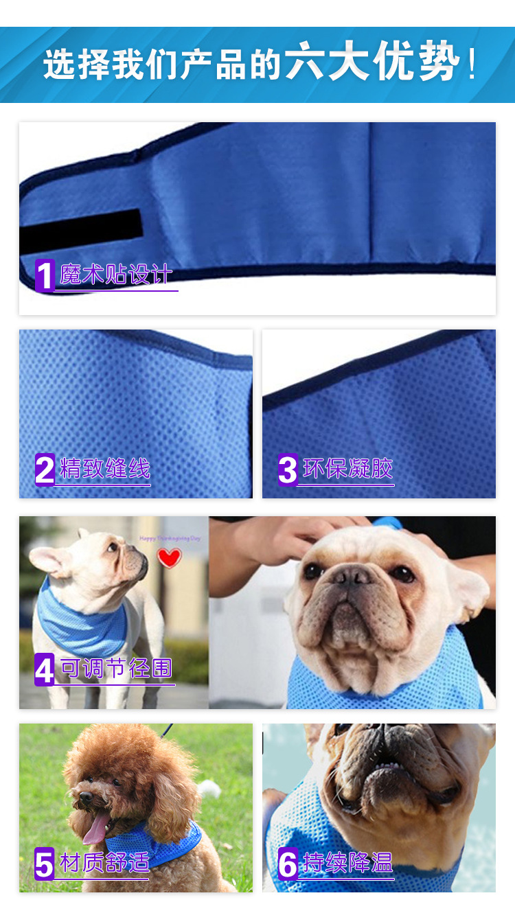 11-7 狗领子3.jpg