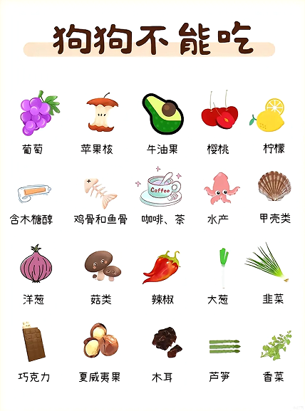 狗狗不能吃的食物.png