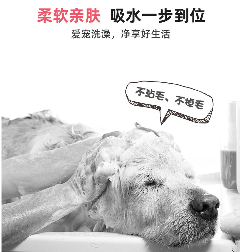 功能2.png
